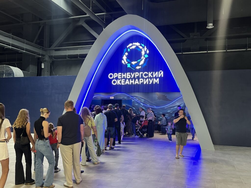 В оренбургском «Мармеладе» открылся масштабный океанариум